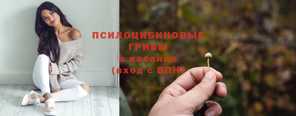 ешки Володарск
