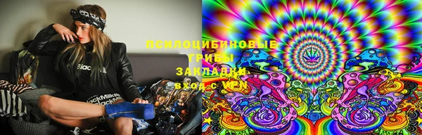 индика Волосово