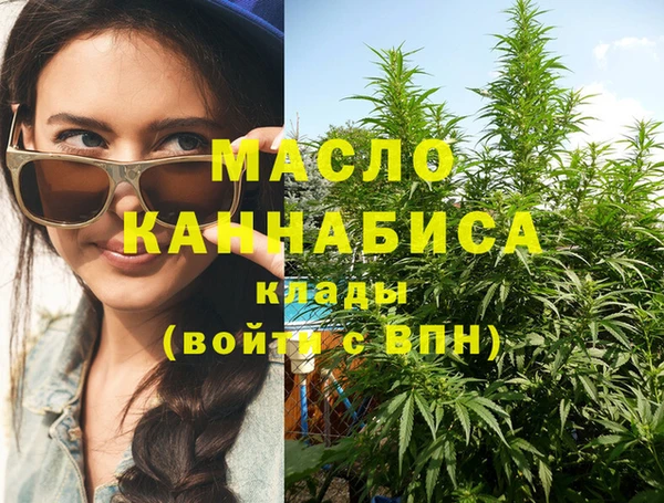 индика Волосово