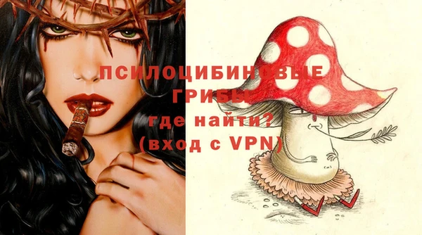 ешки Володарск