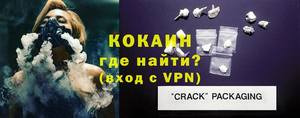 индика Волосово